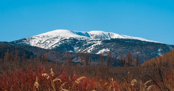 Әлемдегі ең әдемі қыздың суреттері